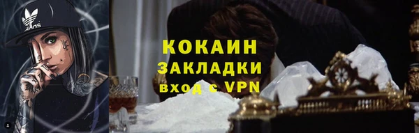 спайс Каменка
