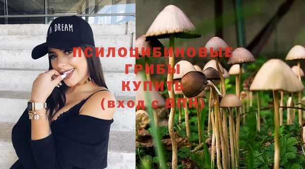 стаф Беломорск
