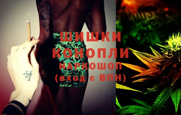 мяу мяу мука Белокуриха