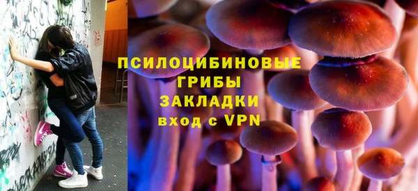 сатива Белоозёрский