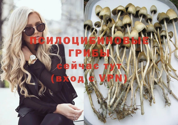 стаф Беломорск